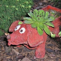 Květníky
